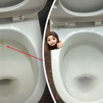 En produkt kommer att göra din toalettskål vitare till en