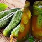 Hur man stänger gurkor i chiliketchup för vintern: 3 ojämförliga